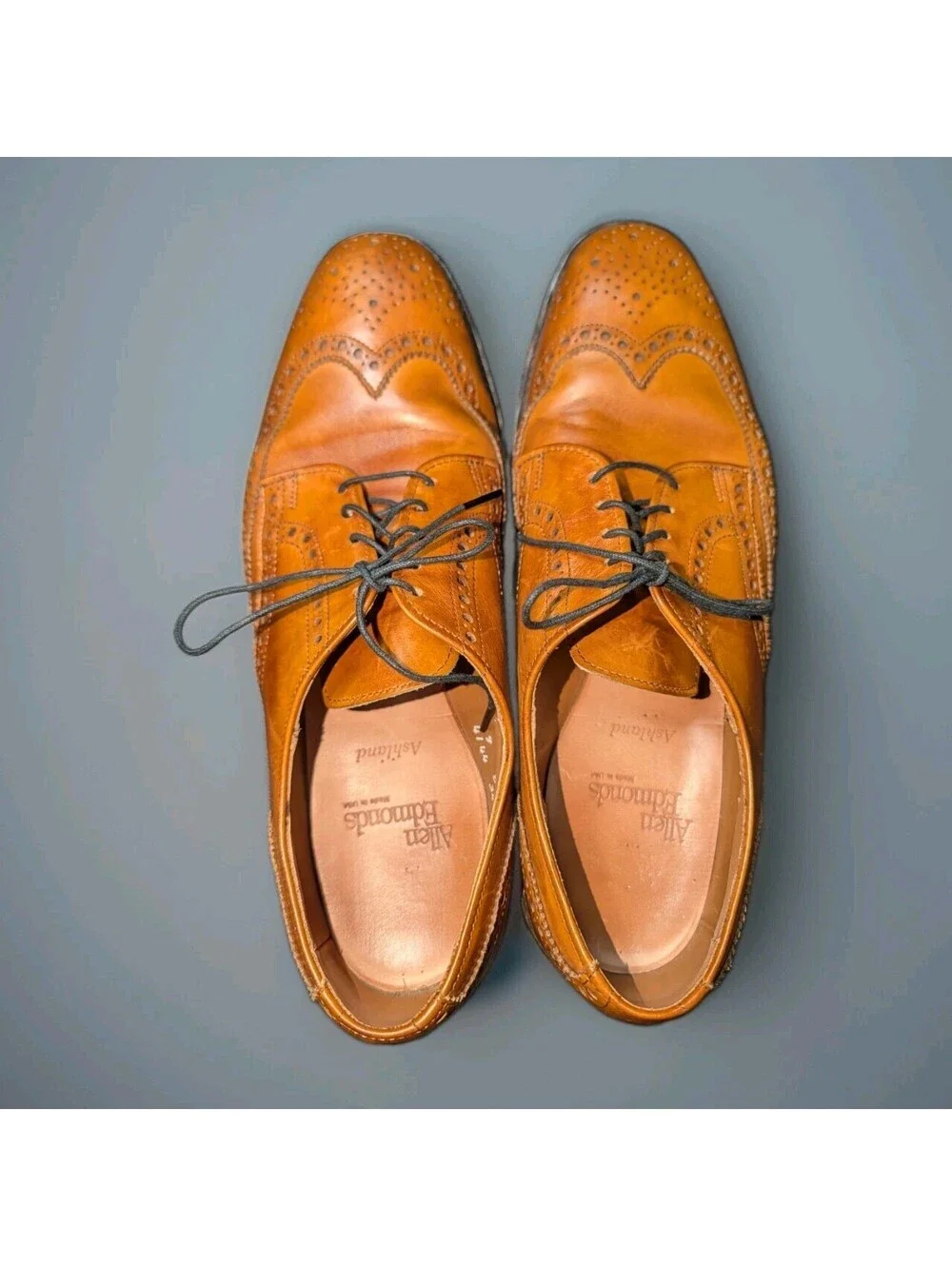 Allen Edmonds Ashland Dress Shoes Wingtip Brown Size 9 Leather